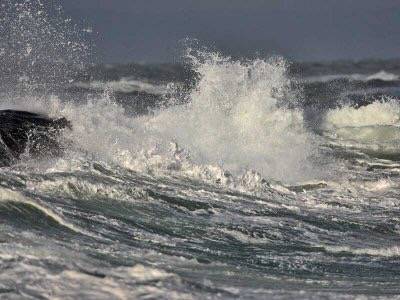 John Anderson, https://www.pbase.com/crail_birder